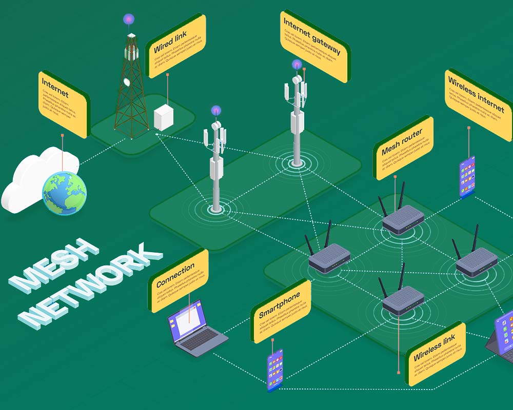 Network Infrastrcuture-2